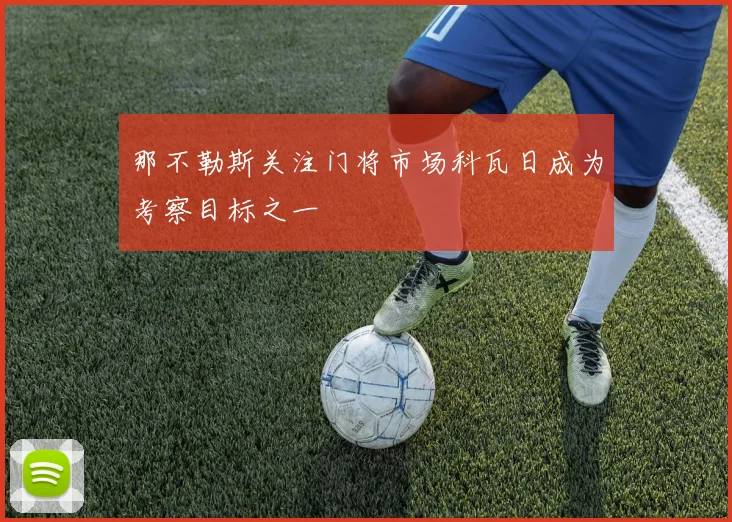 那不勒斯关注门将市场科瓦日成为考察目标之一
