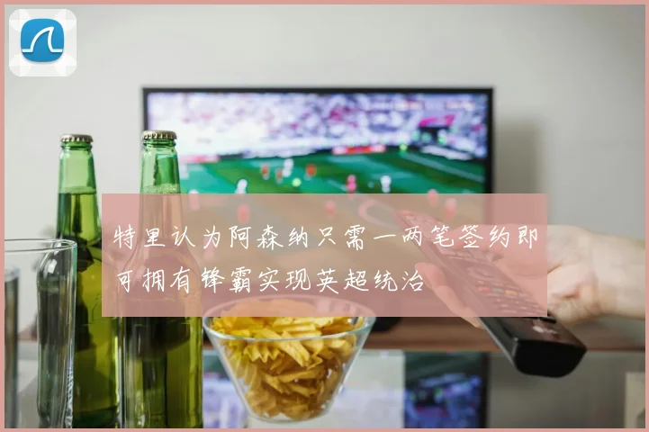 特里认为阿森纳只需一两笔签约即可拥有锋霸实现英超统治